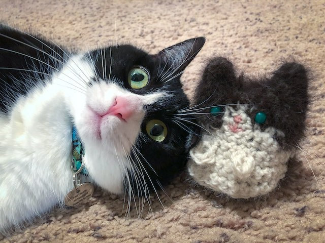 A tuxedo cat lying on the floor next to a tuxedo kitty mini made to look like her and from her real fur and whiskers | Kitten KaZoedle